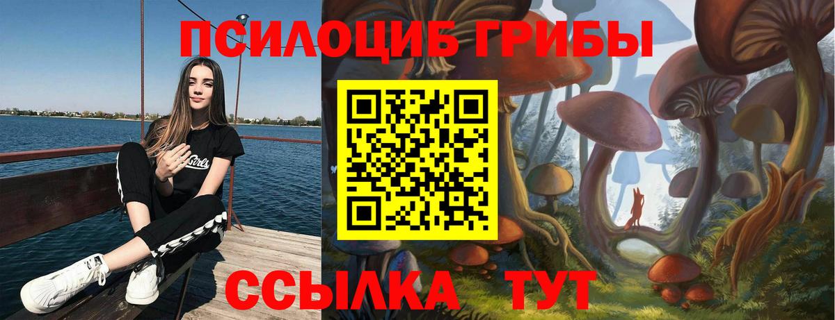 Хасавюрт  Псилоцибиновые грибы мухоморы  Вход с VPN  Псилоцибиновые грибы Magic Shrooms 